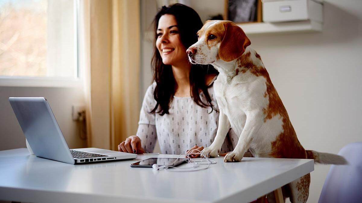 Discover the secret to hassle-free pet insurance claims! Learn our foolproof step-by-step guide on how to submit & get your money fast! 