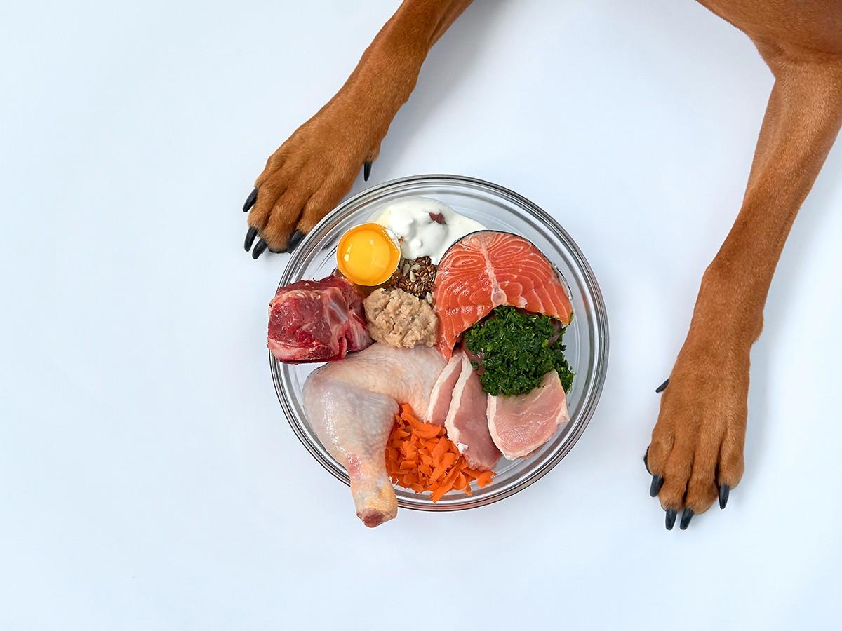 Is Fresh Dog Food Worth The Hype