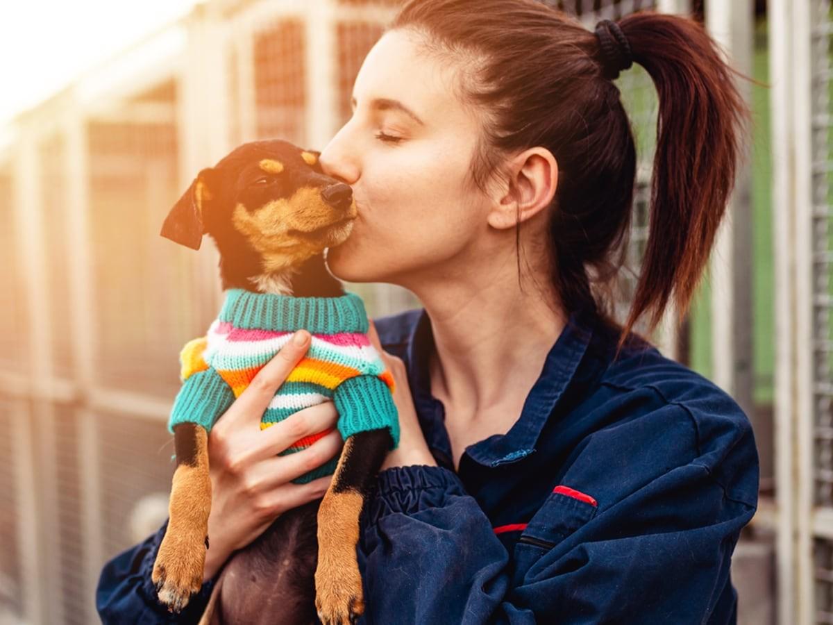 Dog Adoption Checklist: Everything You Need to Know