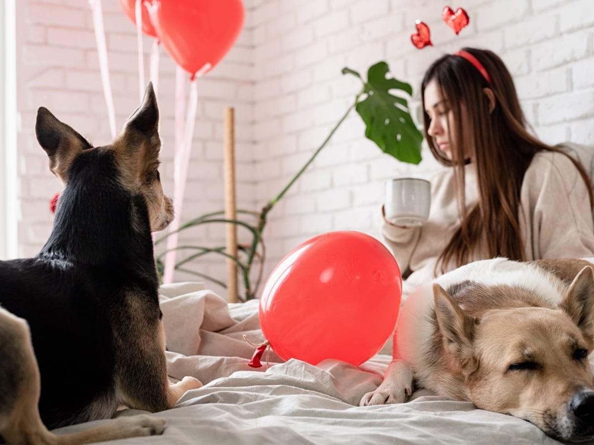 Fantastic Ways to Celebrate Valentine's Day for Pets
